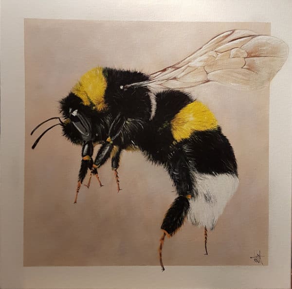 bee