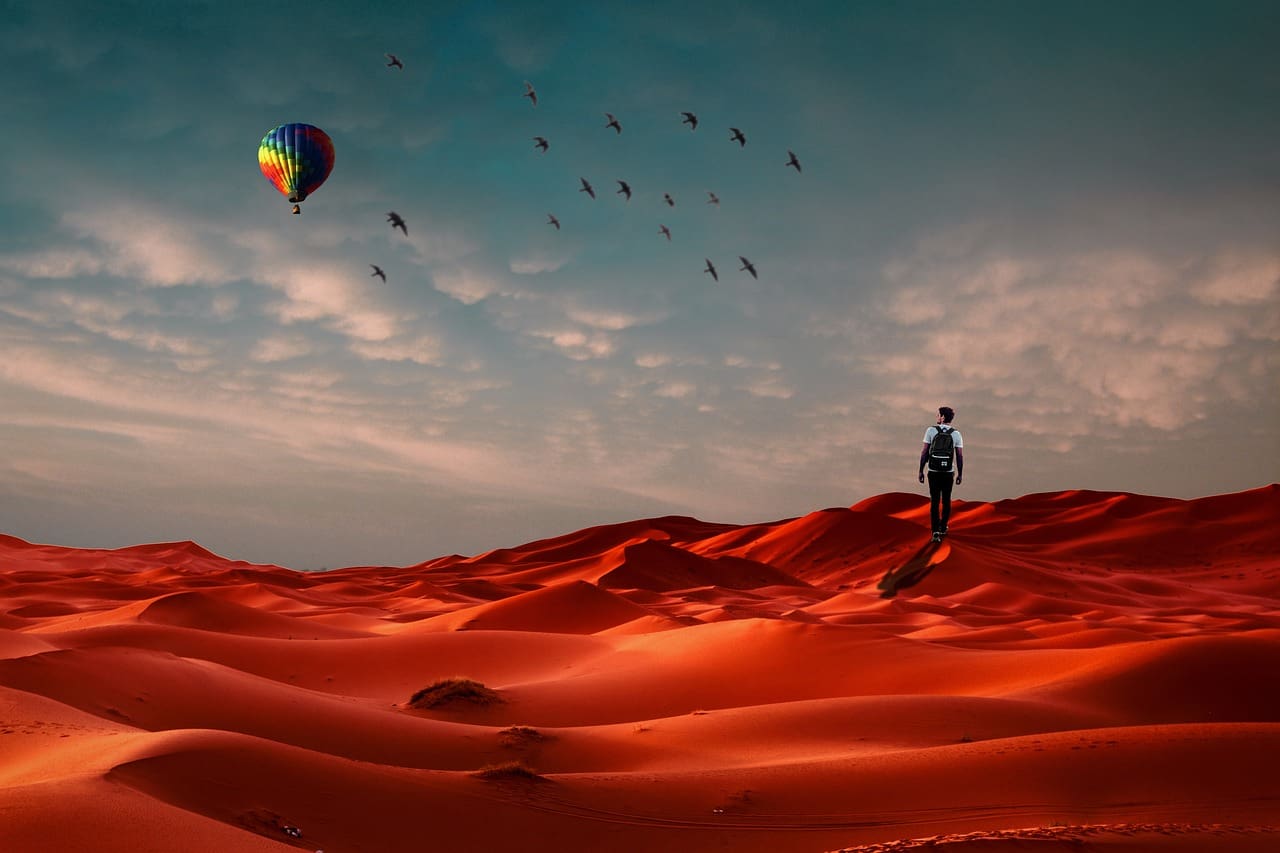 lost-in-place