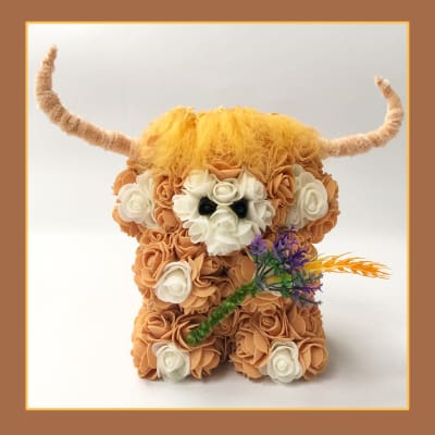 Highland-cow